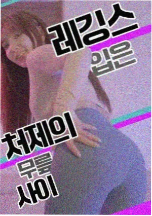 我的阿勒泰
